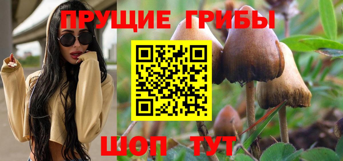 Галлюциногенные грибы ЛСД Октябрьский