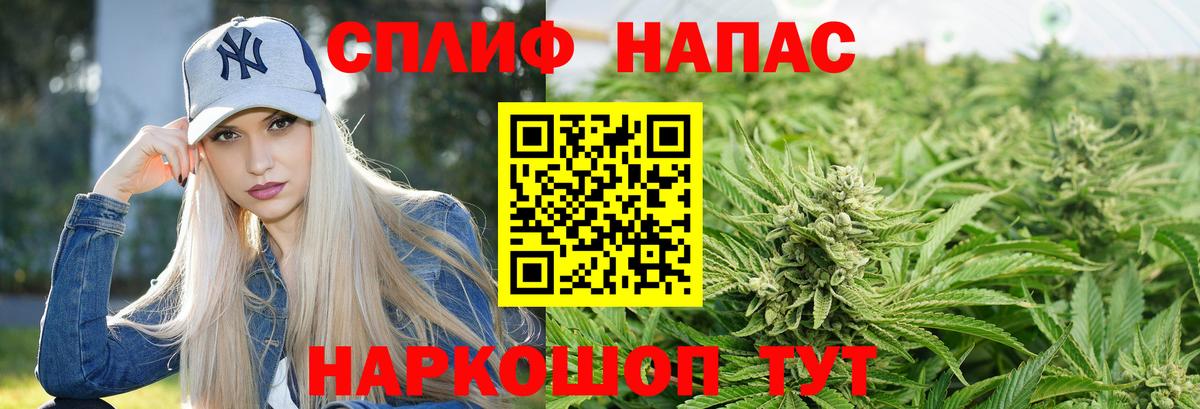 Конопля MAZAR Октябрьский